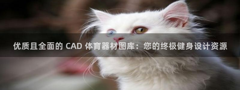 杏宇平台卜6.7.5.1.3.8：优质且全面的 CA