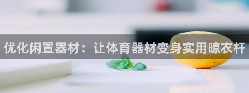 杏宇娱乐登录地址在哪里：优化闲置器材：让体育器材变身