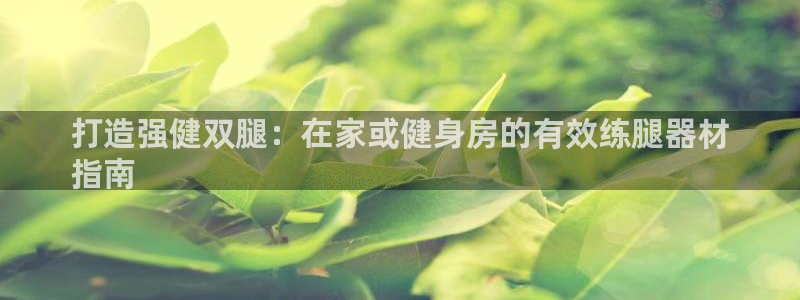 杏宇集团董事长：打造强健双腿：在家或健身房的有效练腿