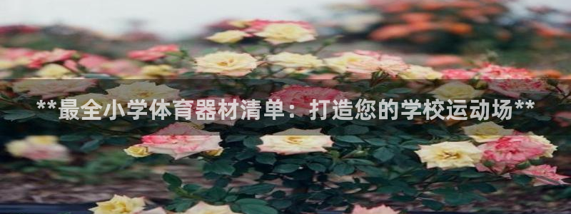 杏宇集团公益：**最全小学体育器材清单：打造您的学校