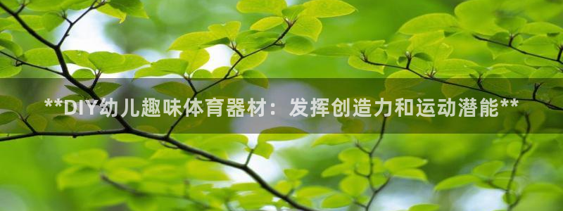 杏宇娱乐：**DIY幼儿趣味体育器材：发挥创造力和运