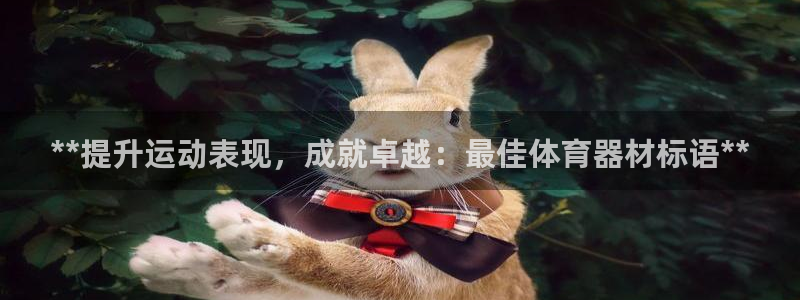 杏宇微光下载：**提升运动表现，成就卓越：最佳体育器