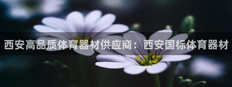 杏宇娱乐软件下载：西安高品质体育器材供应商：西安国标
