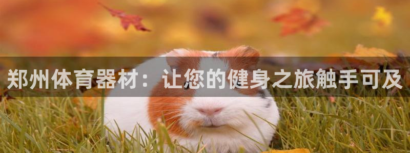 杏宇娱乐官网首页登录：郑州体育器材：让您的健身之旅触