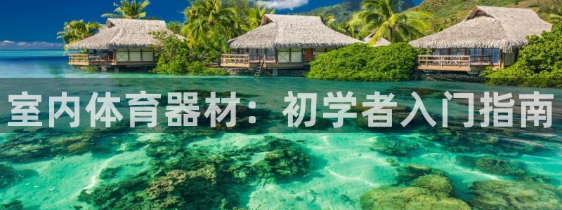 杏宇娱乐安全吗知乎：室内体育器材：初学者入门指南