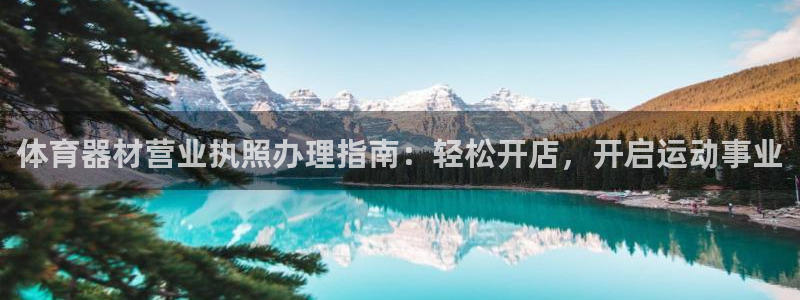 杏宇三国官网：体育器材营业执照办理指南：轻松开店，开