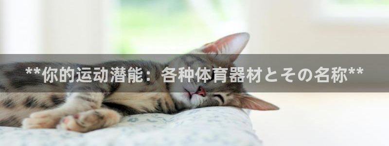 杏宇辉煌：**你的运动潜能：各种体育器材とその名称*
