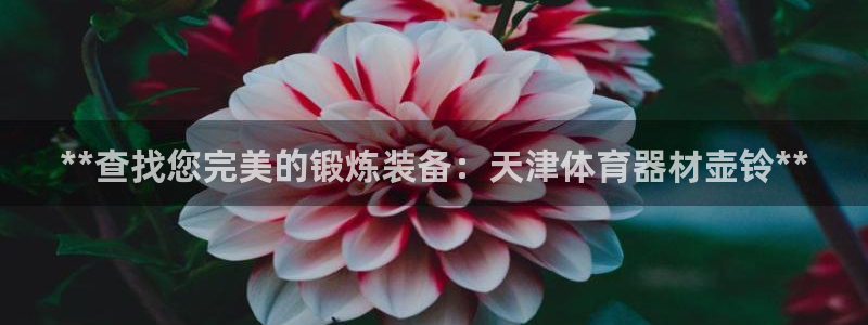 杏宇平台负责人怎么样：**查找您完美的锻炼装备：天津