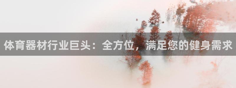 杏宇娱乐登陆地址：体育器材行业巨头：全方位，满足您的