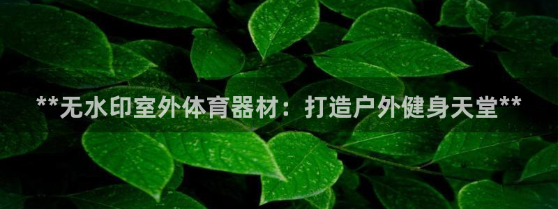 杏宇平台app下载：**无水印室外体育器材：打造户外
