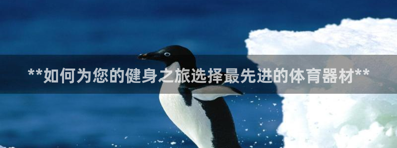 杏宇幻主：**如何为您的健身之旅选择最先进的体育器材