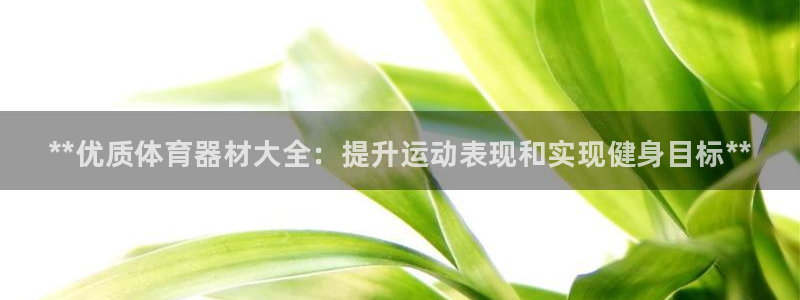 杏宇平台合作 585.34I 平台：**优质体育器材大全：提