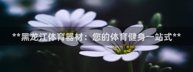 杏宇微光mp3下载：**黑龙江体育器材：您的体育健身