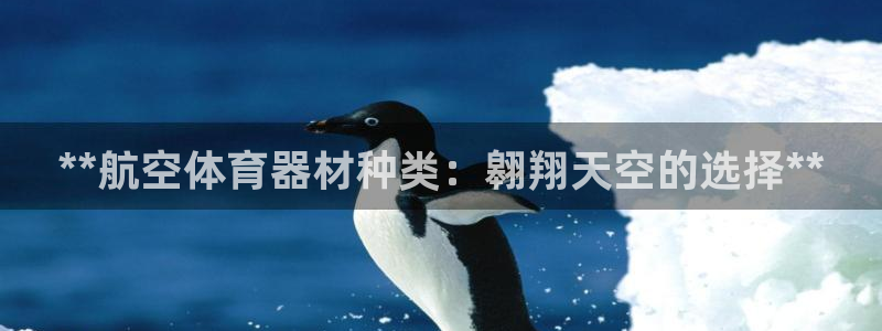 杏宇平台告7O777：**航空体育器材种类：翱翔天空