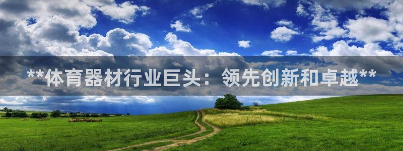 杏宇平台网址：**体育器材行业巨头：领先创新和卓越*