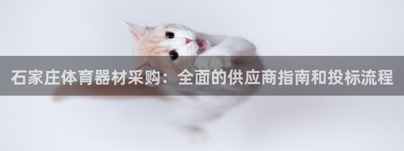 杏宇娱乐注册：石家庄体育器材采购：全面的供应商指南和
