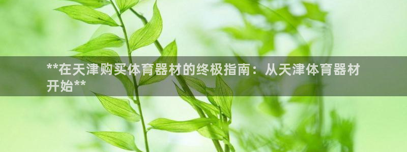 杏宇娱乐挂机脚本：**在天津购买体育器材的终极指南：
