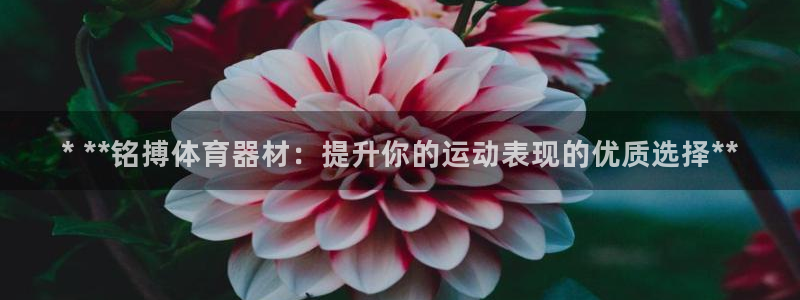 杏宇娱乐出款快吗是真的吗：* **铭搏体育器材：提升