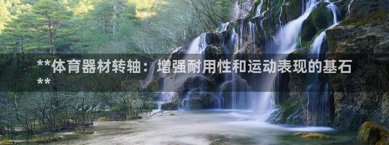 杏宇娱乐：**体育器材转轴：增强耐用性和运动表现的基
