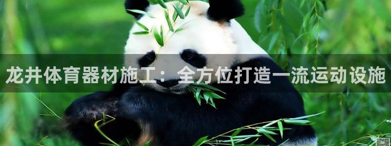 杏宇娱乐注册官网入口：龙井体育器材施工：全方位打造一
