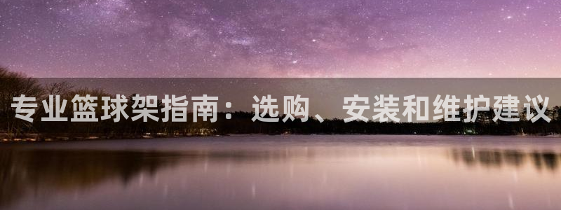杏宇登场之类的广告词：专业篮球架指南：选购、安装和维