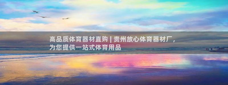 杏宇集团王大聪图片：高品质体育器材直购 | 贵州放心