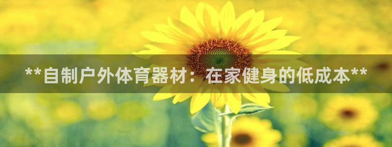 杏宇微光曲谱：**自制户外体育器材：在家健身的低成本