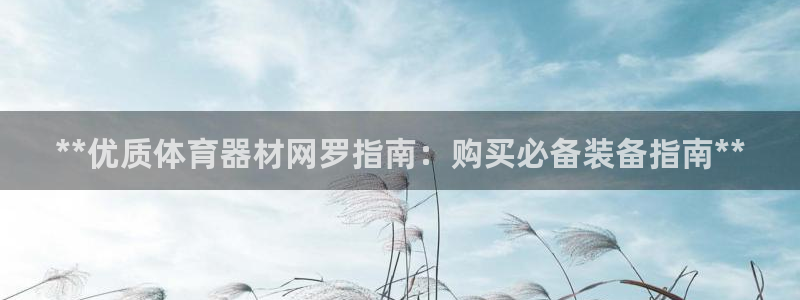杏宇平台最新注册地址是哪里的：**优质体育器材网罗指