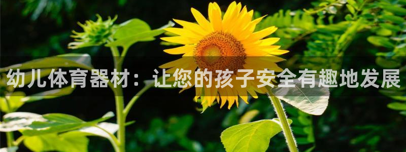 杏宇平台卜6.7.5.1.3.8：幼儿体育器材：让您