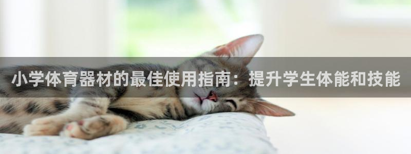杏宇娱乐app下载安装最新版：小学体育器材的最佳使用
