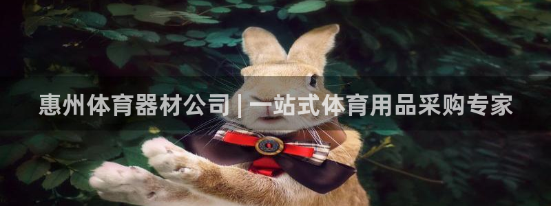 杏宇娱乐在线登录官网入口：惠州体育器材公司 | 一站式体育用