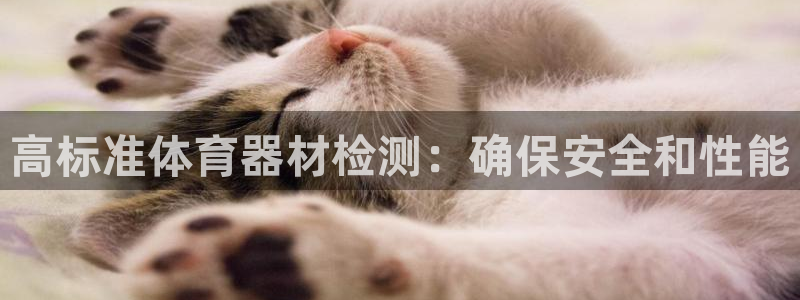杏宇集团总部在哪儿：高标准体育器材检测：确保安全和性
