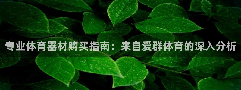 杏宇平台是黑台子吗：专业体育器材购买指南：来自爱群体