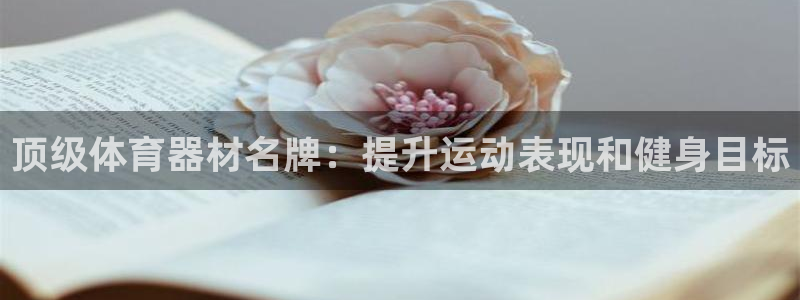 杏宇官方网站入口：顶级体育器材名牌：提升运动表现和健