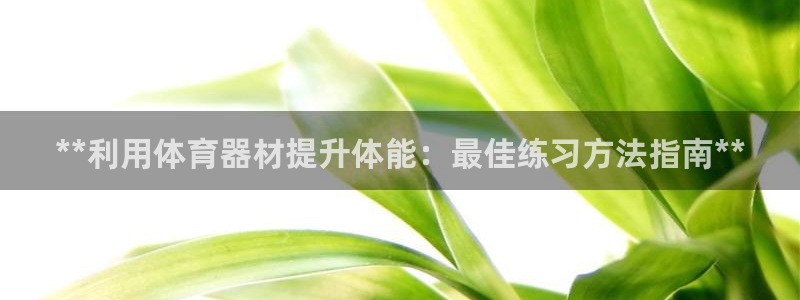 杏宇娱乐网站官网：**利用体育器材提升体能：最佳练习