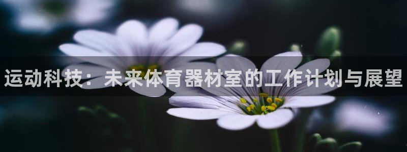 杏宇娱乐app下载安装手机版