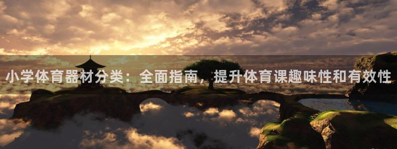 杏宇娱乐是不是赚钱快：小学体育器材分类：全面指南，提