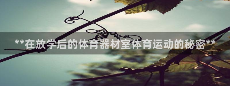 杏宇平台主管：**在放学后的体育器材室体育运动的秘密
